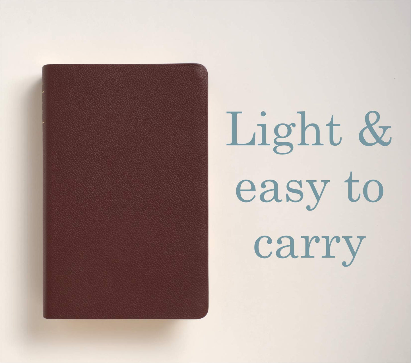 KJV Personal Size Giant Print Bible, Filament Enabled (Genuine Leather, Burgundy, Indexed, Red Letter): Includes Free Access to the Filament Bible App ... Notes, Devotionals, Worship Music, and Video