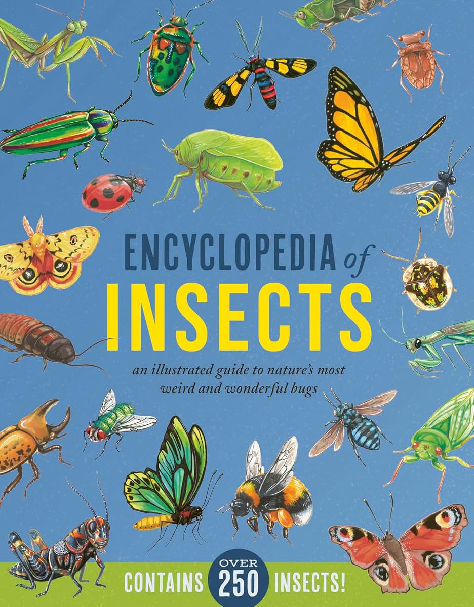Encyclopedia of Insects: An Illustrated Guide to Natures Most Weird and Wonderful Bugs - Contains over 250 Insects!