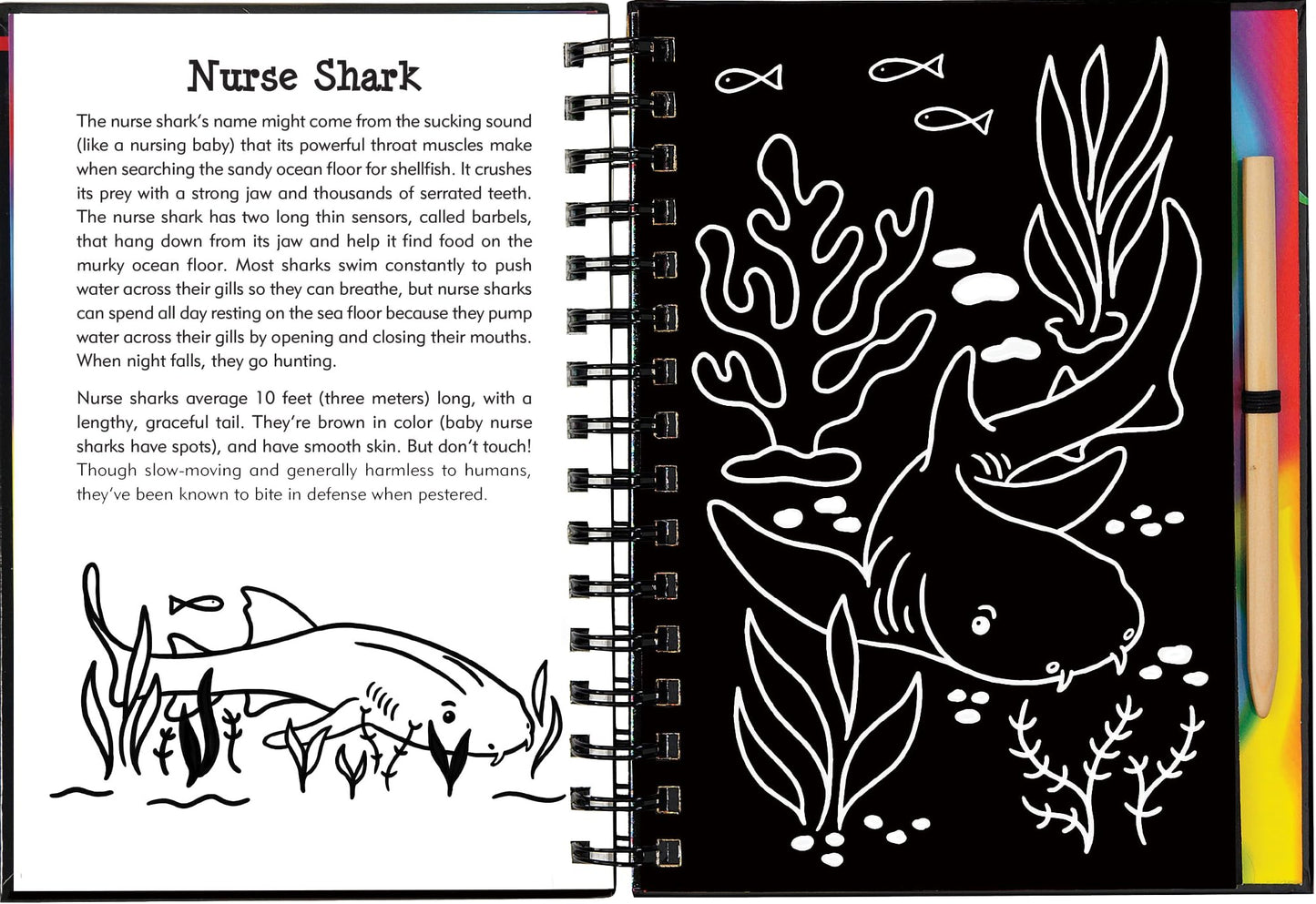 Scratch & Sketch Sharks (Trace Along)