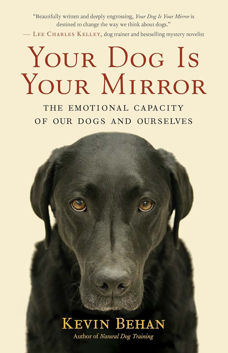 Your Dog Is Your Mirror: The Emotional Capacity of Our Dogs