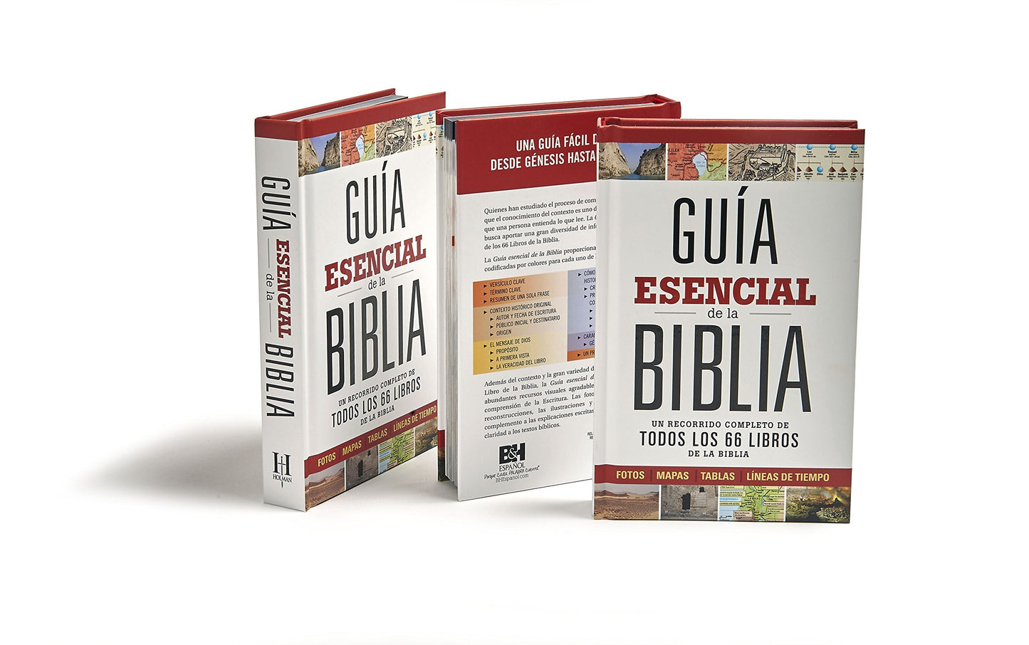 Gu?a esencial de la Biblia Ultimate Bible Guide (Spanish Edition)