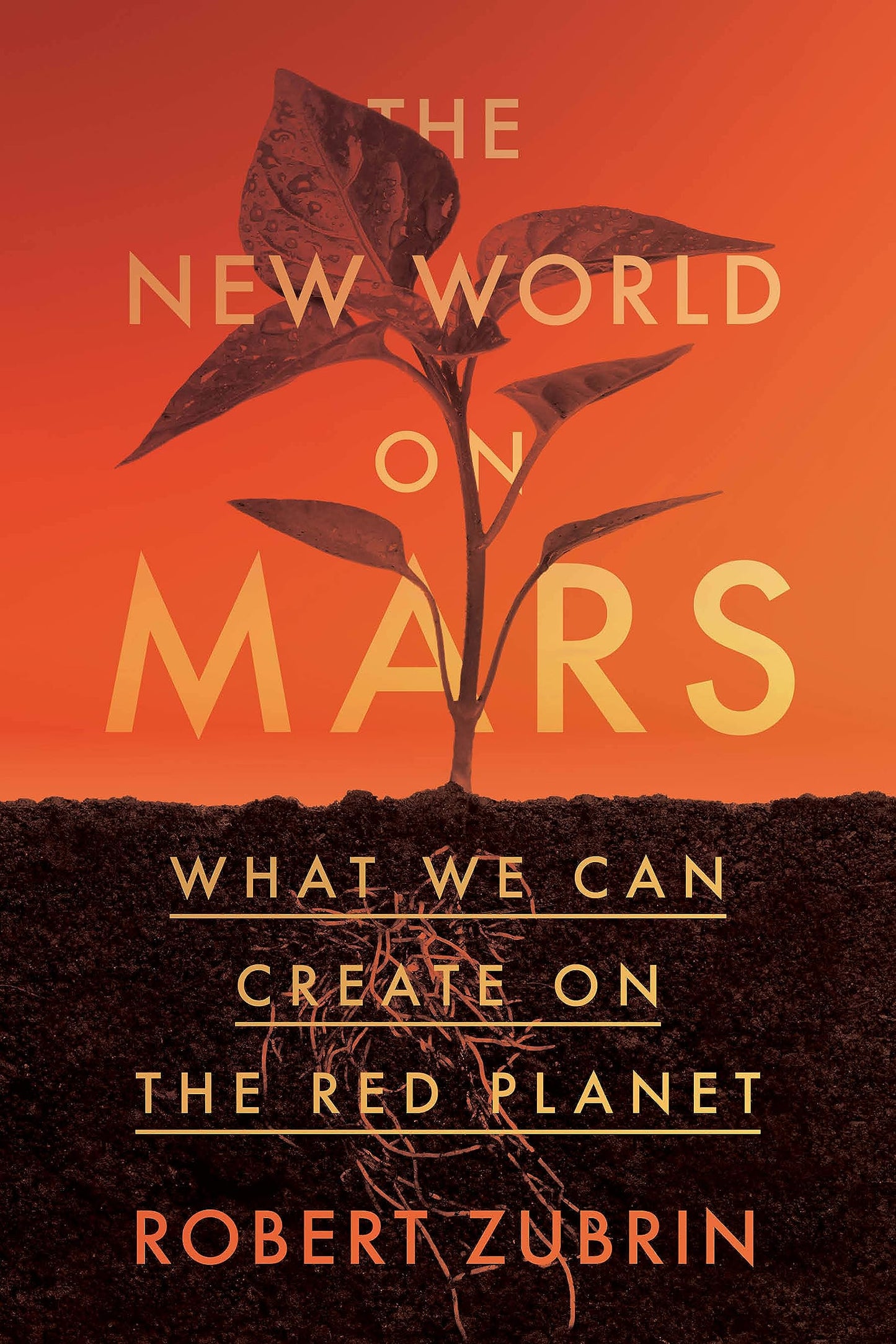 The New World on Mars: What We Can Create on the Red Planet