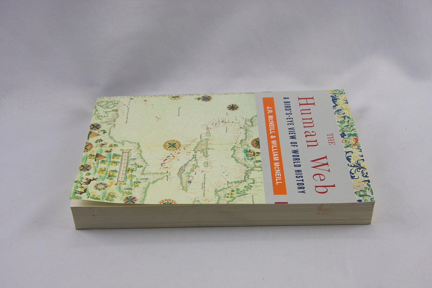 The Human Web: A Bird's-Eye View of World History