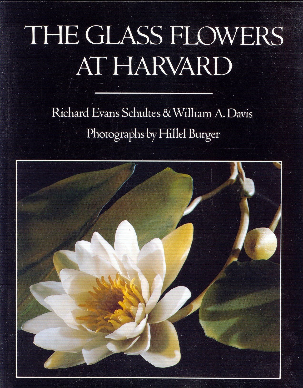 The Glass Flowers at Harvard