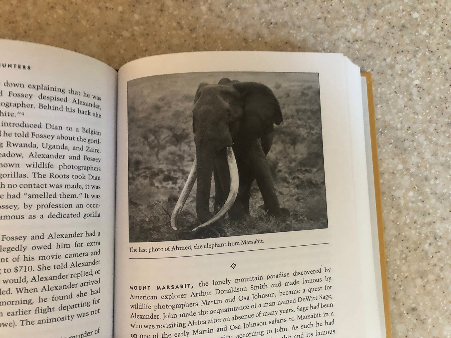 White Hunters: The Golden Age of African Safaris
