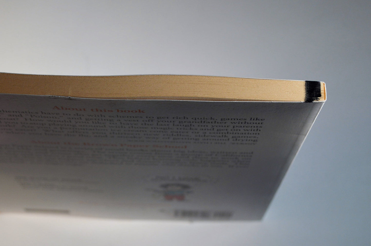 The I Hate Mathematics! Book (A Brown Paper School Book) (Brown Paper School Books)