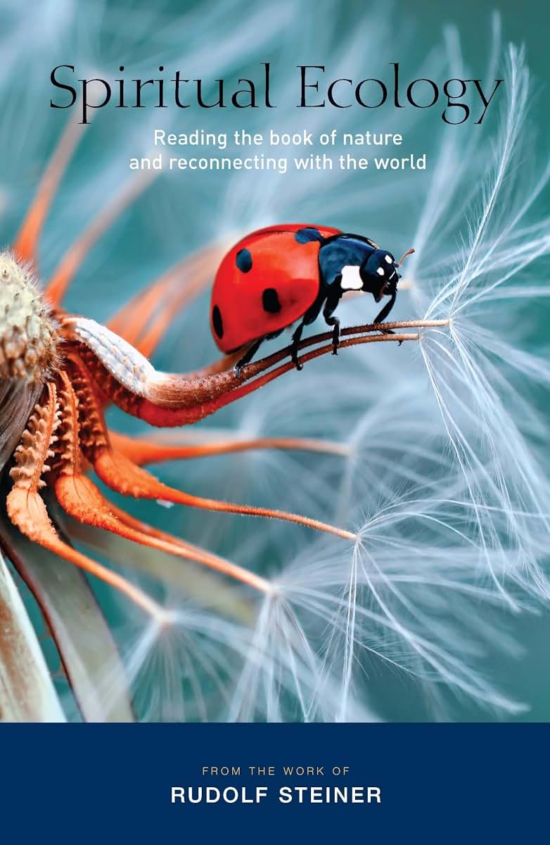 Spiritual Ecology: Reading the Book of Nature and Reconnecting with the World