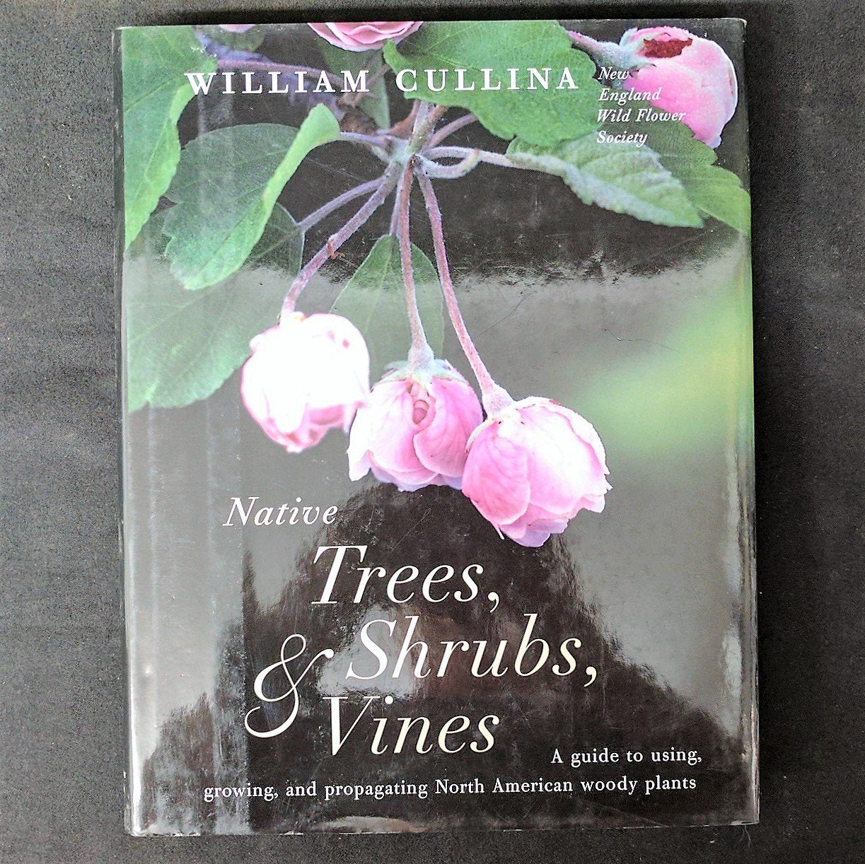 Native Trees, Shrubs, and Vines: A Guide to Using, Growing, and Propagating North American Woody Plants