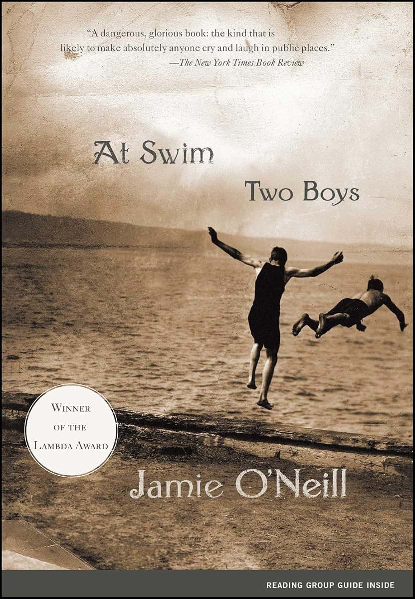 At Swim, Two Boys: A Novel (Award-Winning Fiction) by O'Neil