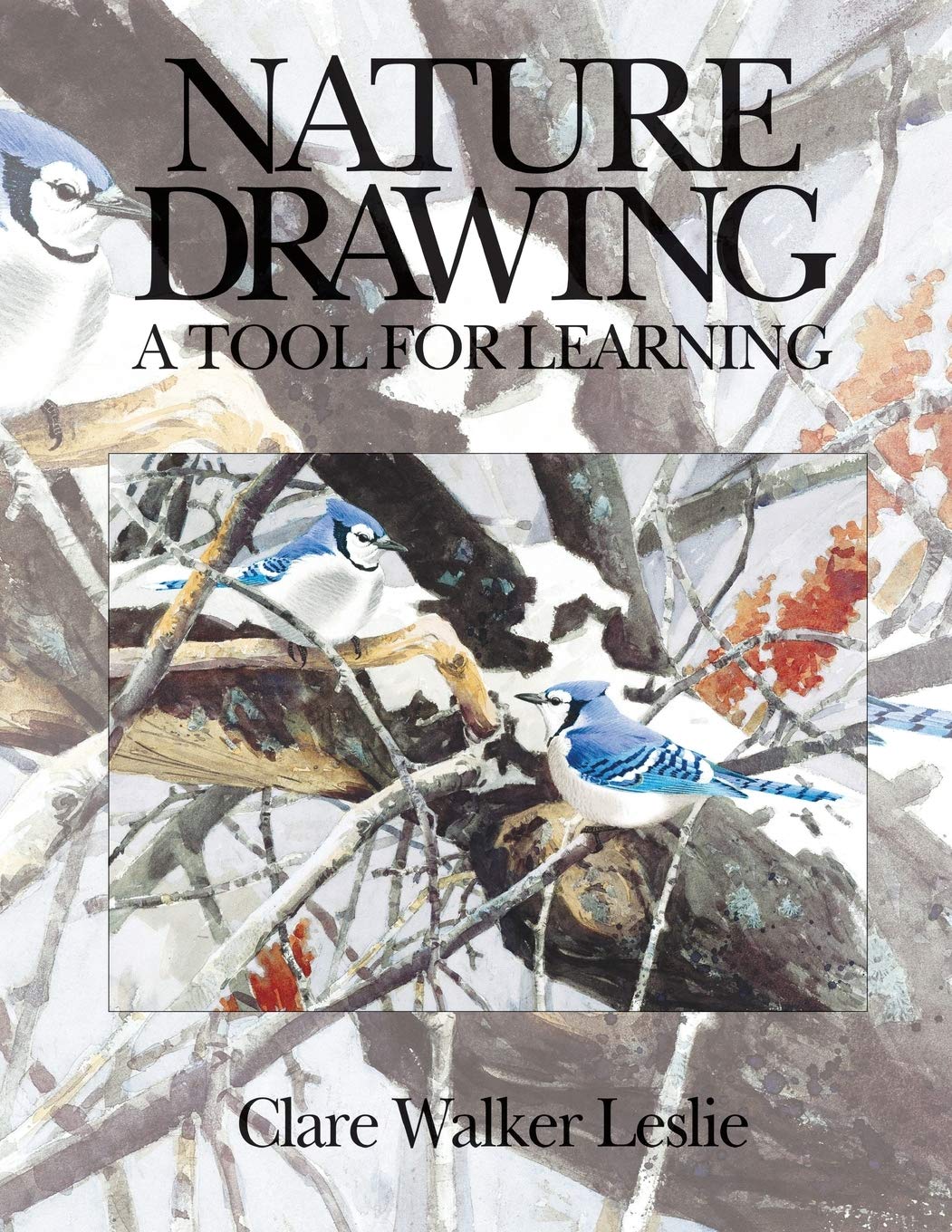 Nature Drawing: A Tool for Learning by Clare Walker Leslie