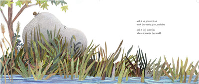 A Stone Sat Still: (Environmental and Nature Picture Book for Kids, Perspective Book for Preschool and Kindergarten, Award Winning Illustrator) (Brendan Wenzel)