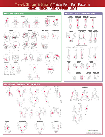 Travell, Simons & Simons? Trigger Point Pain Patterns Wall Chart: Head, Neck, and Upper Limb