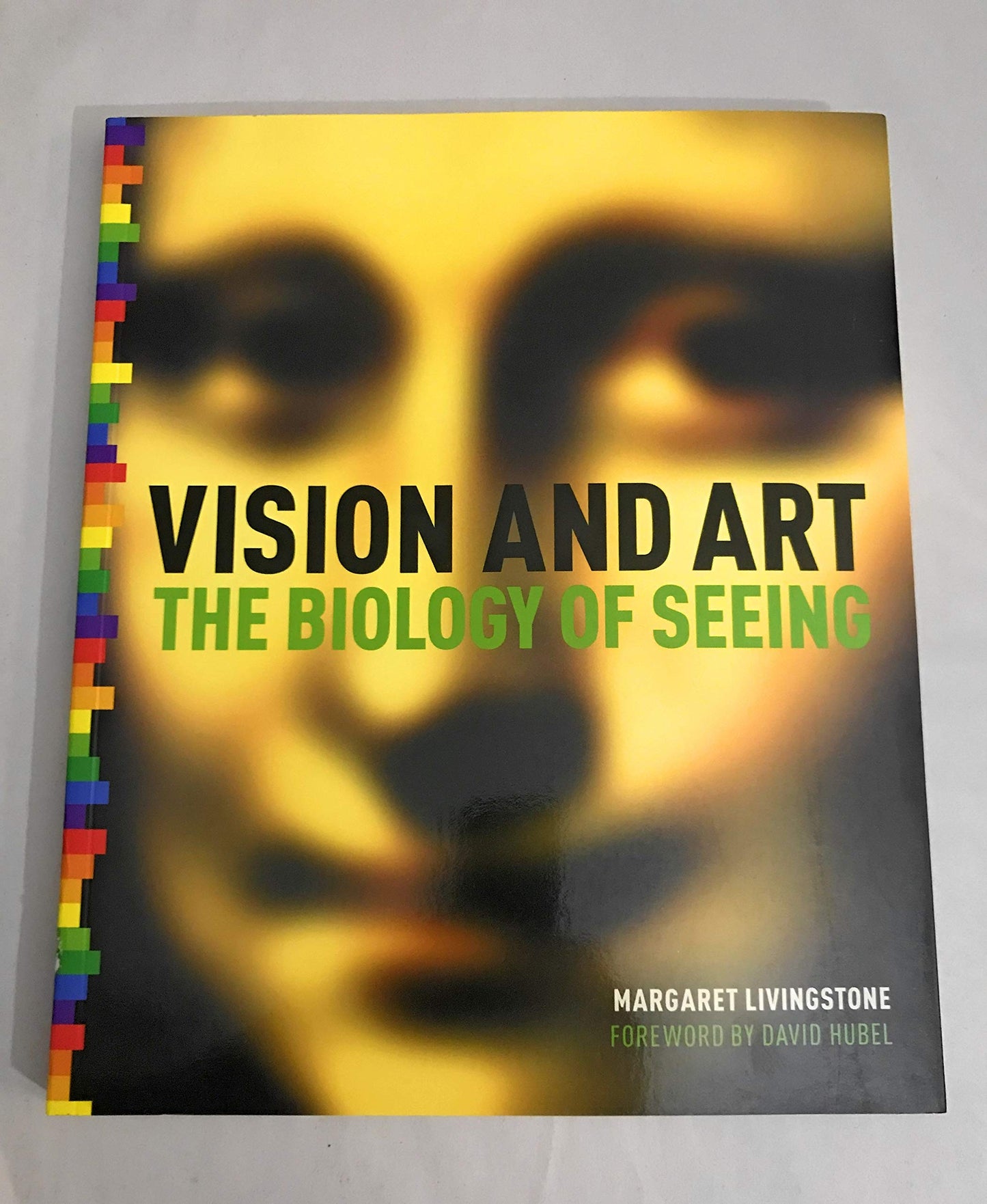 Vision and Art: The Biology of Seeing by Margaret Livingstone
