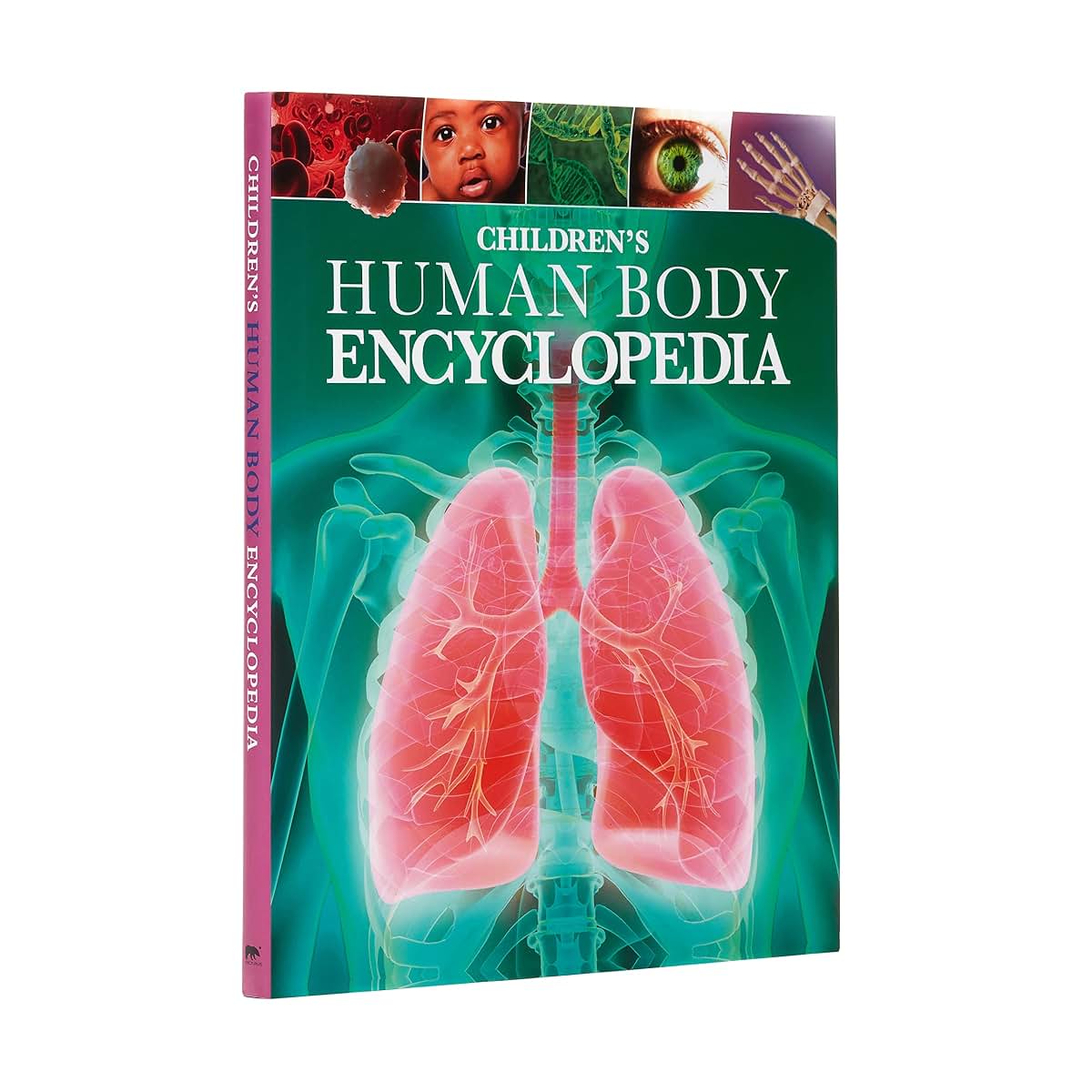 Children's Human Body Encyclopedia (Arcturus Children's Reference Library, 5)