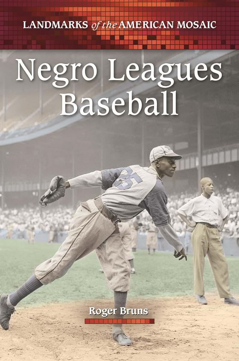Negro Leagues Baseball (Landmarks of the American Mosaic)