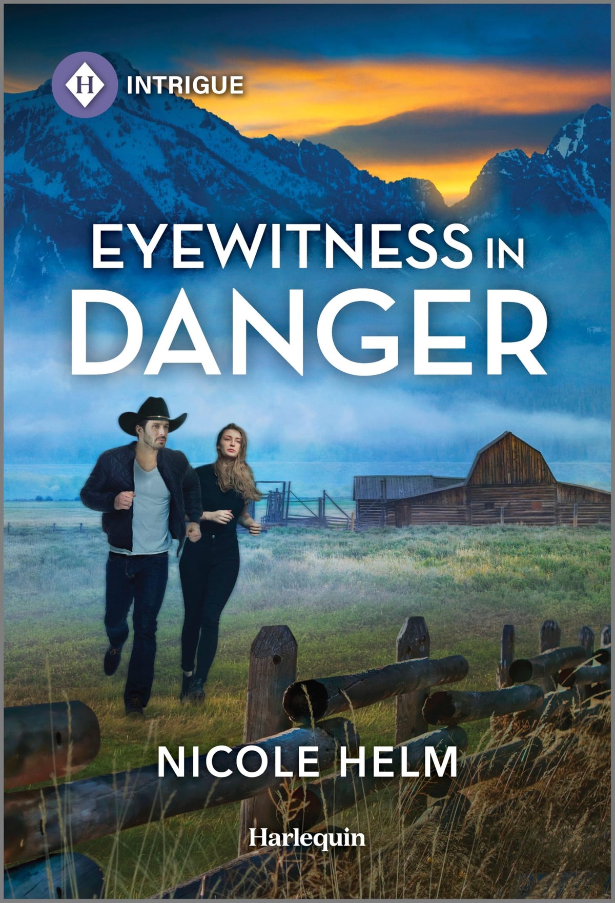 Eyewitness in Danger: A Western Sheriff Protector Romance (Bent County Protectors, 4)