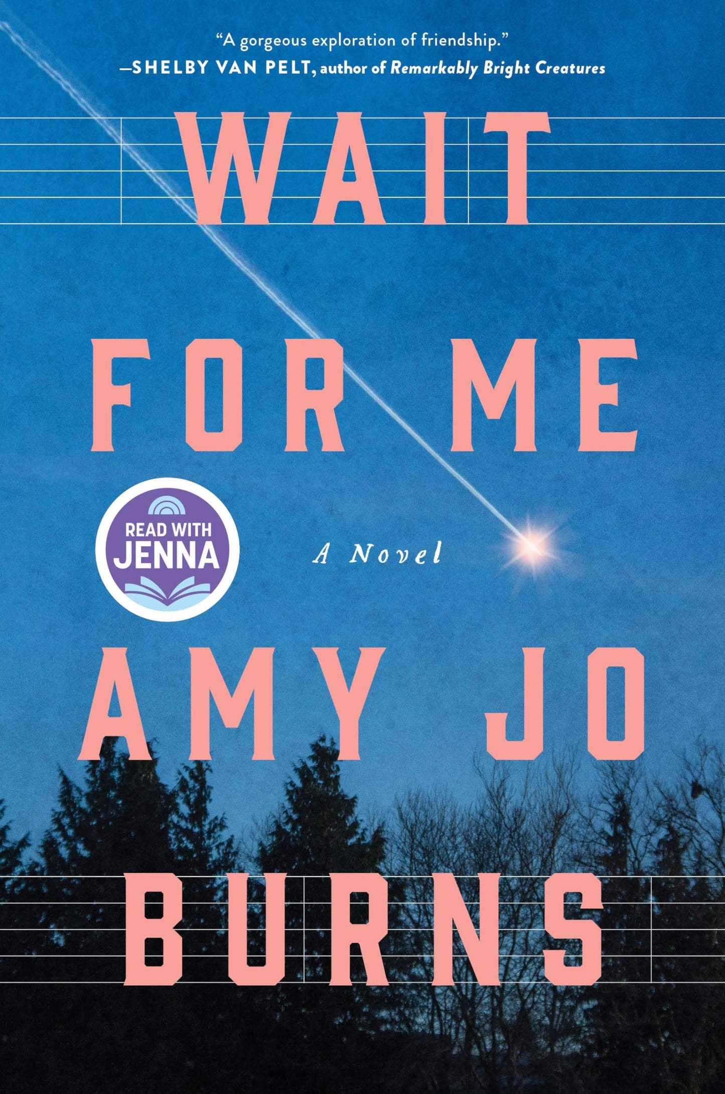 Wait for Me: A Novel