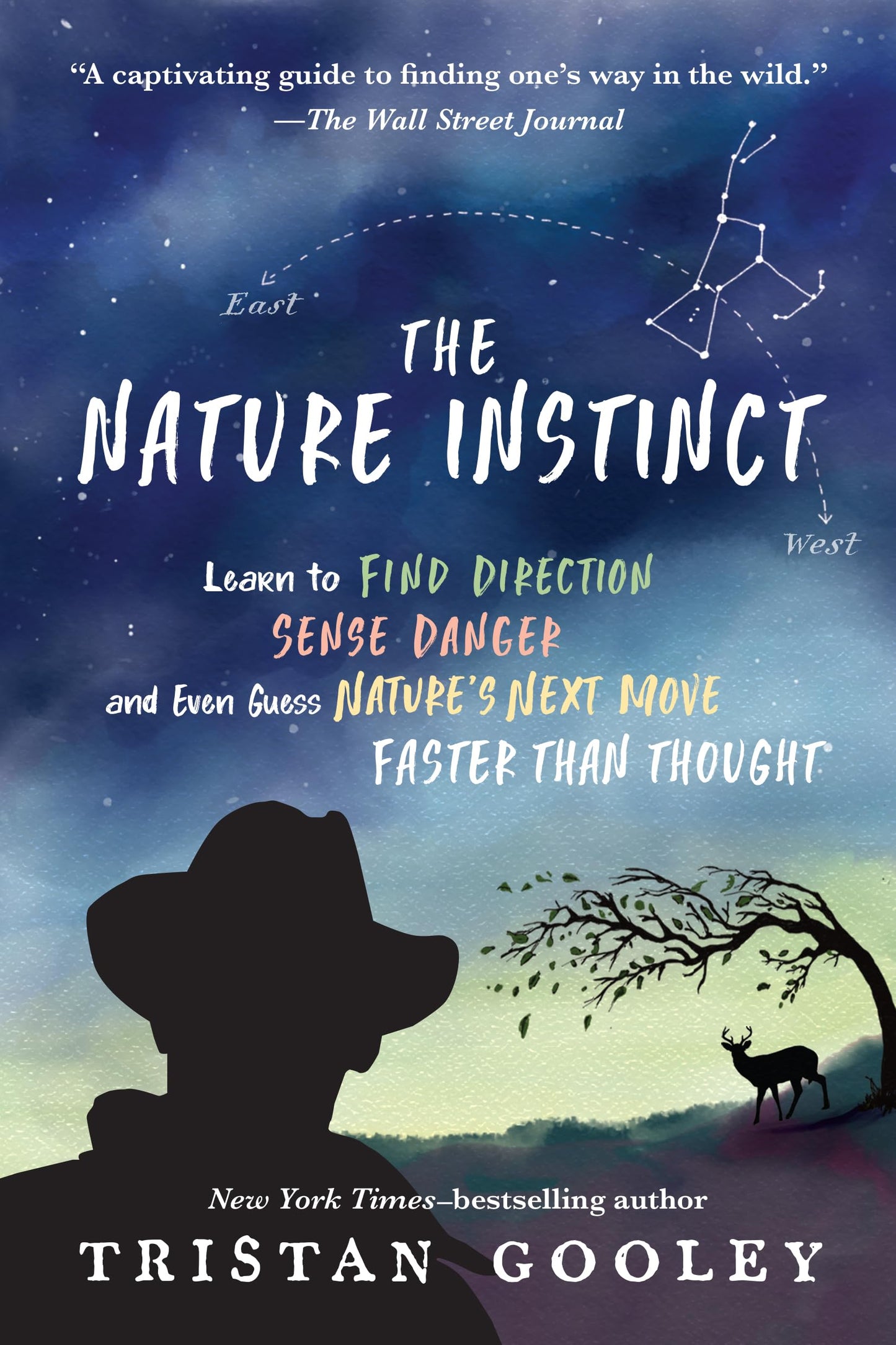 The Nature Instinct: Learn to Find Direction, Sense Danger, and Even Guess Natures Next Move-Faster Than Thought (Natural Navigation)