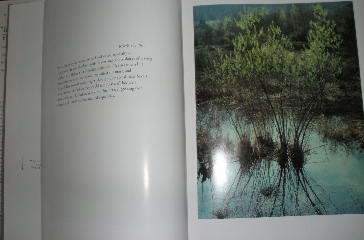 In Wildness is the Preservation of the World