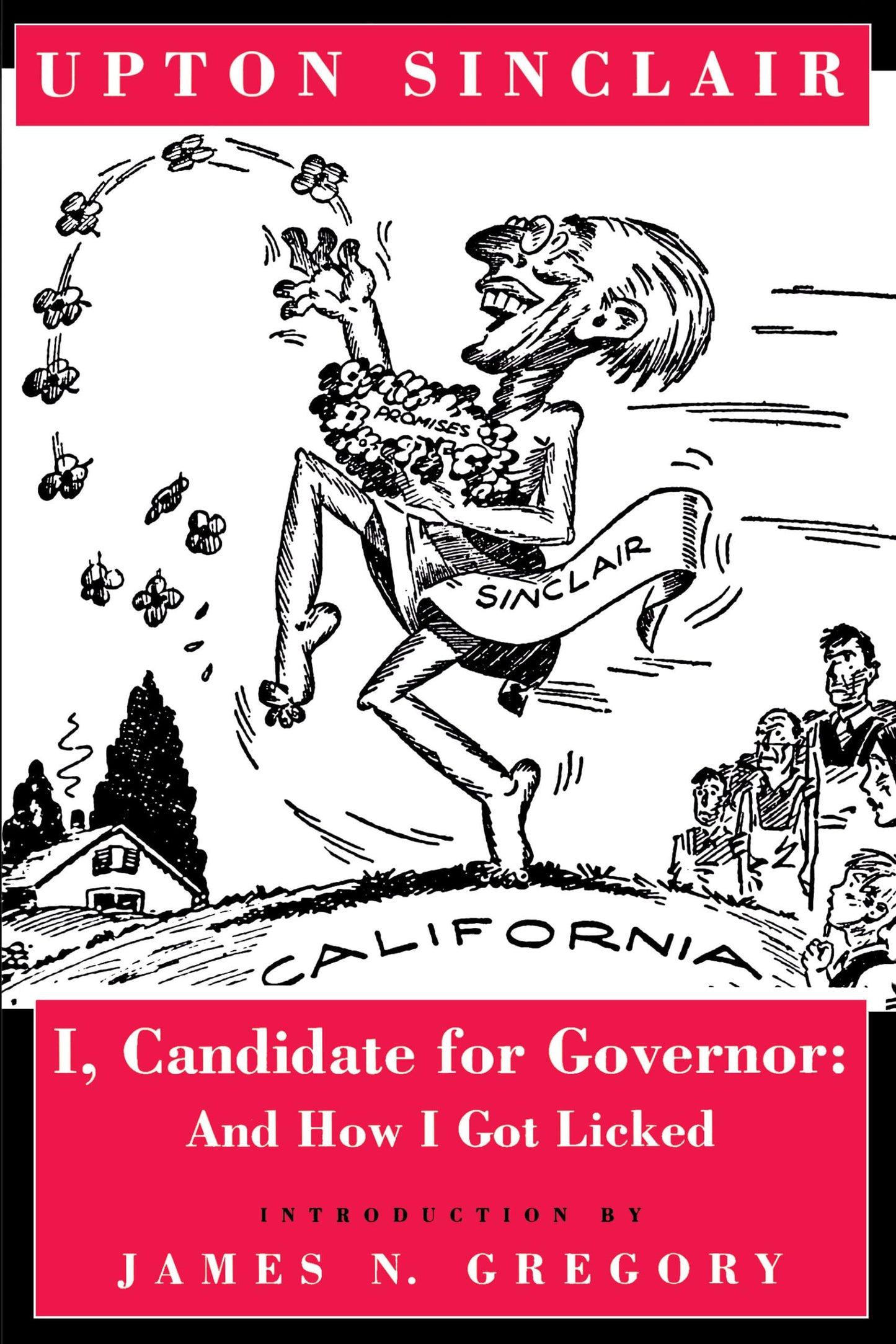 I, Candidate for Governor: And How I Got Licked