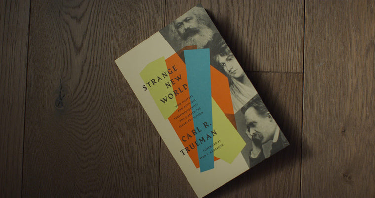 Strange New World: How Thinkers and Activists Redefined Identity and Sparked the Sexual Revolution — back cover