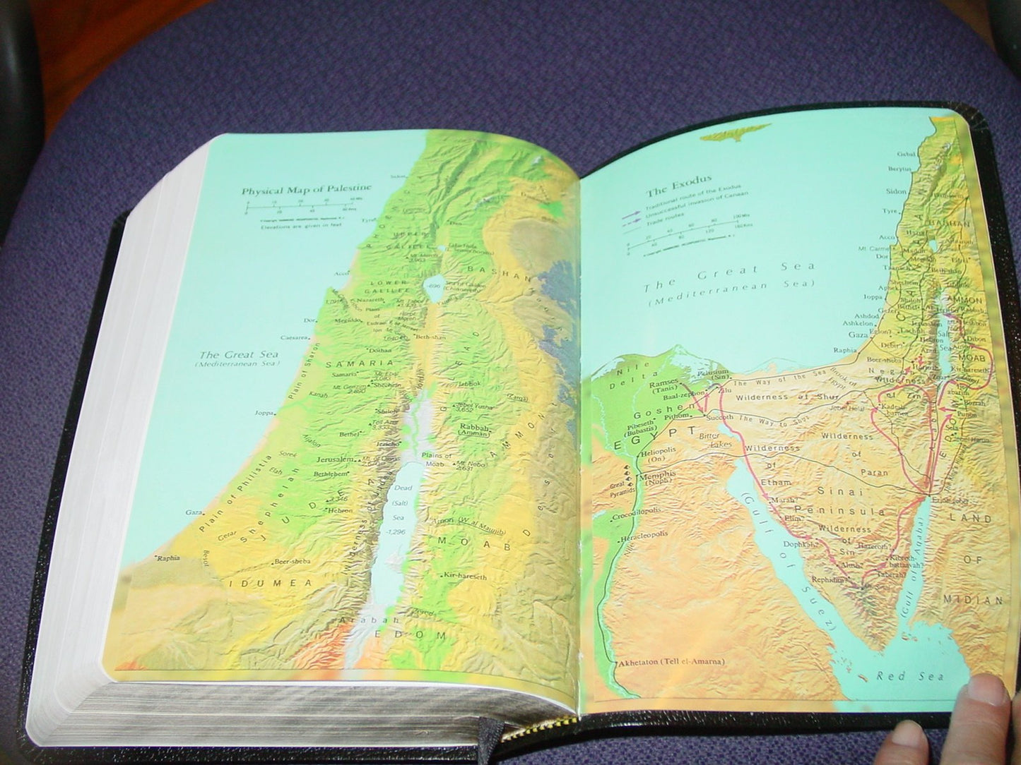 Expositor's Study Bible