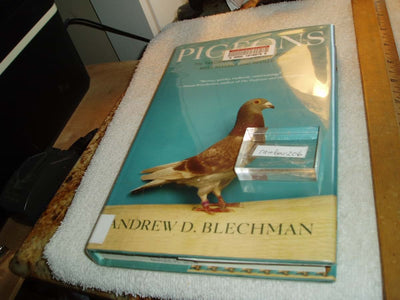 Pigeons: The Fascinating Saga of the World's Most Revered an