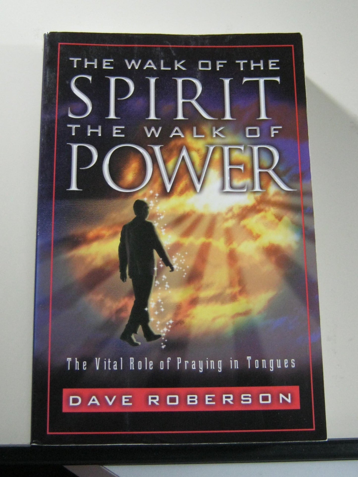 The Walk of the Spirit - The Walk of Power : The Vital Role