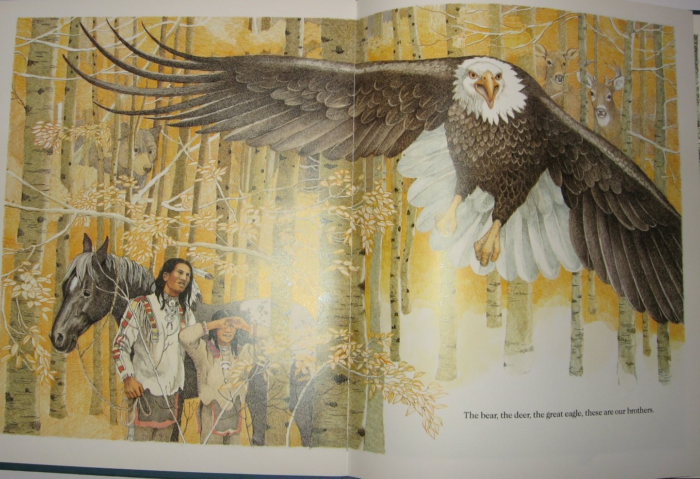Brother Eagle, Sister Sky