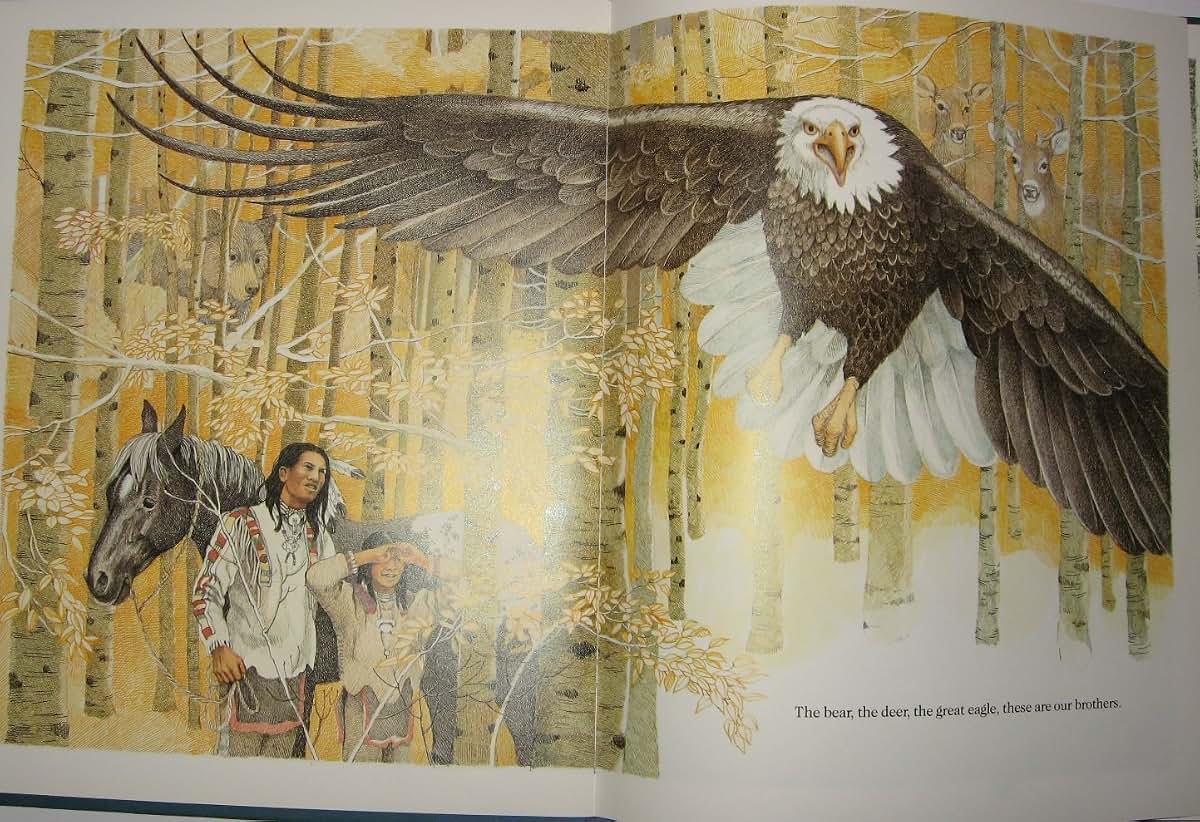 Brother Eagle, Sister Sky