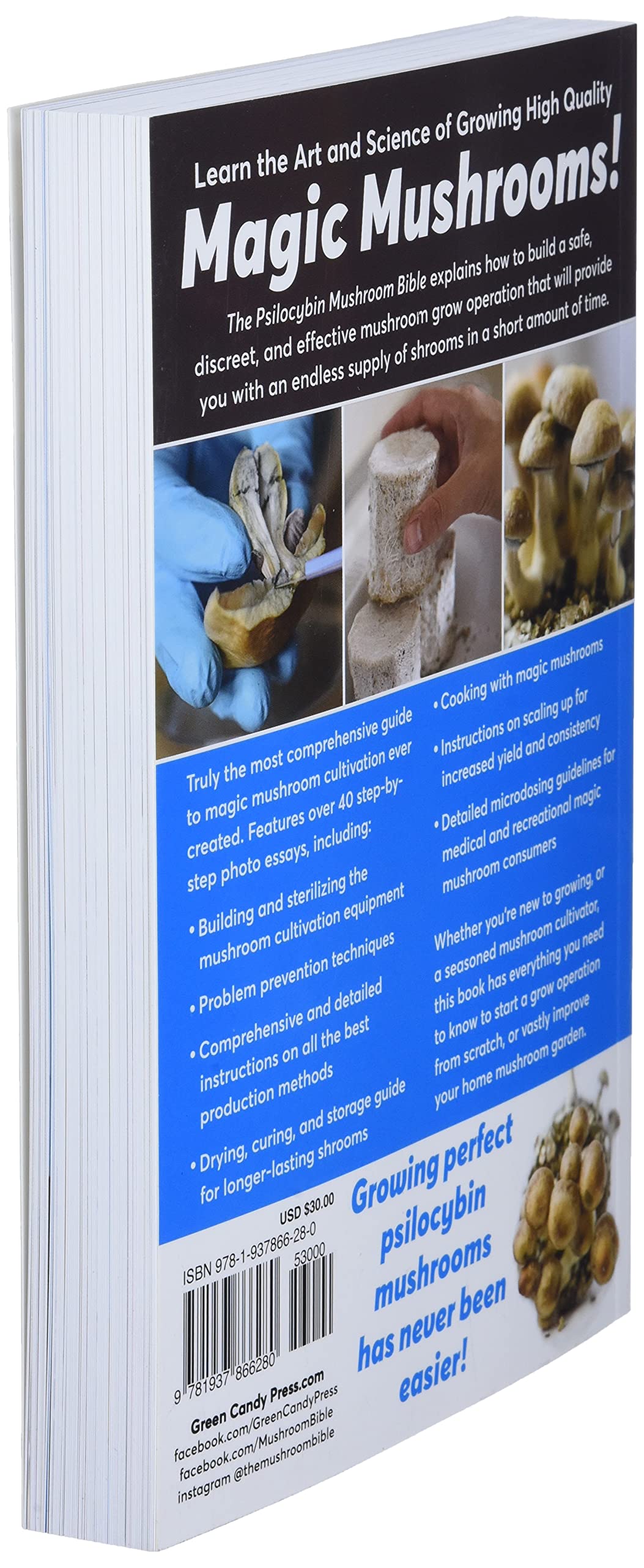 The Psilocybin Mushroom Bible: The Definitive Guide to Growi