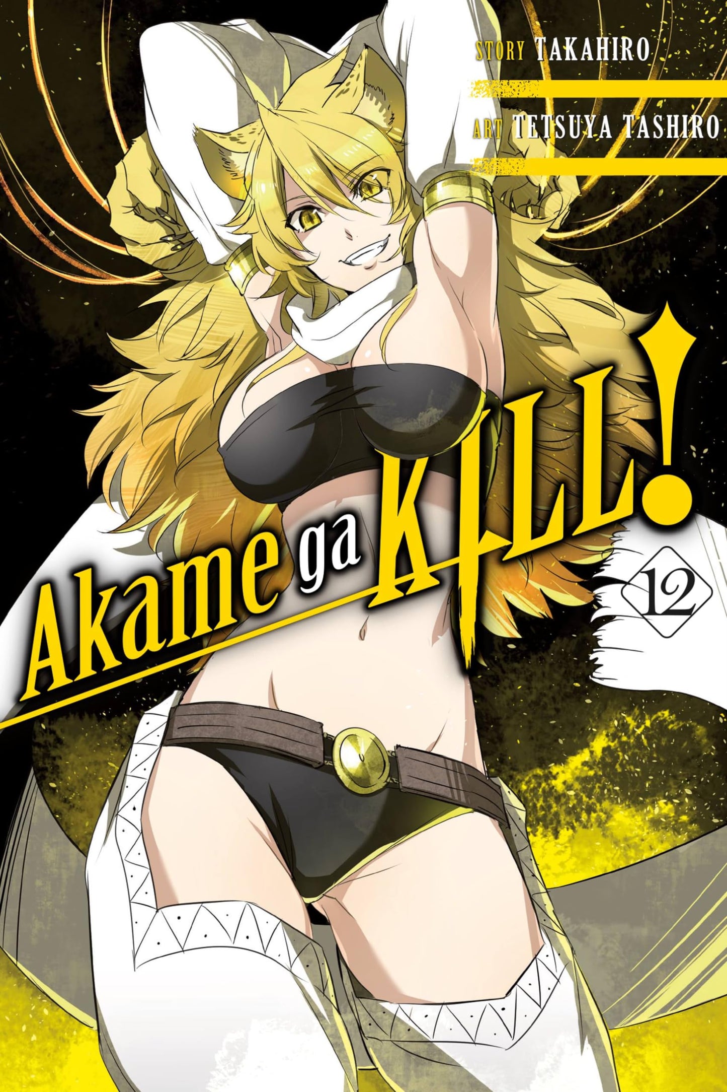 Akame ga KILL!, Vol. 12 (Akame ga KILL!, 12) by Takahiro