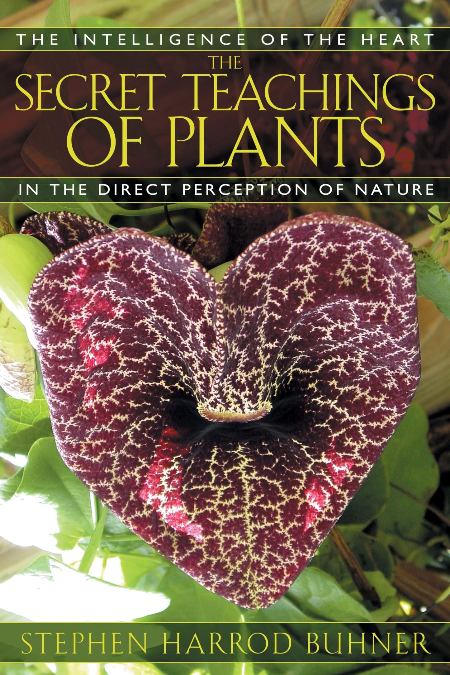 The Secret Teachings of Plants: The Intelligence of the Hear