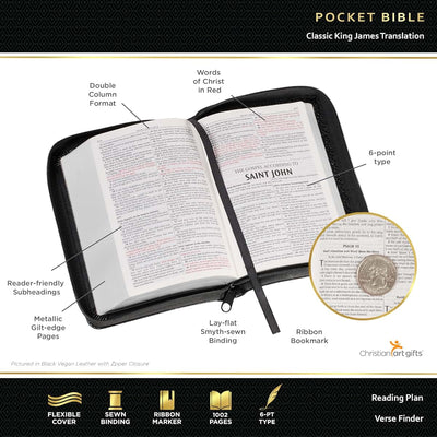 KJV Holy Bible, Mini Pocket Size, Faux Leather Red Letter Ed