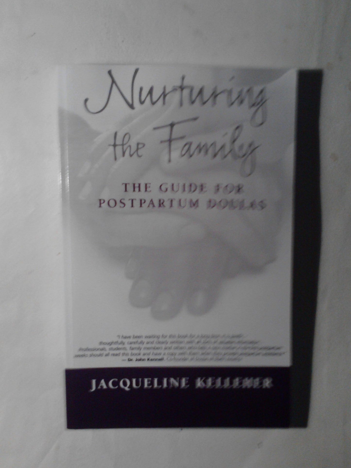 Nurturing the Family: The Guide for Postpartum Doulas