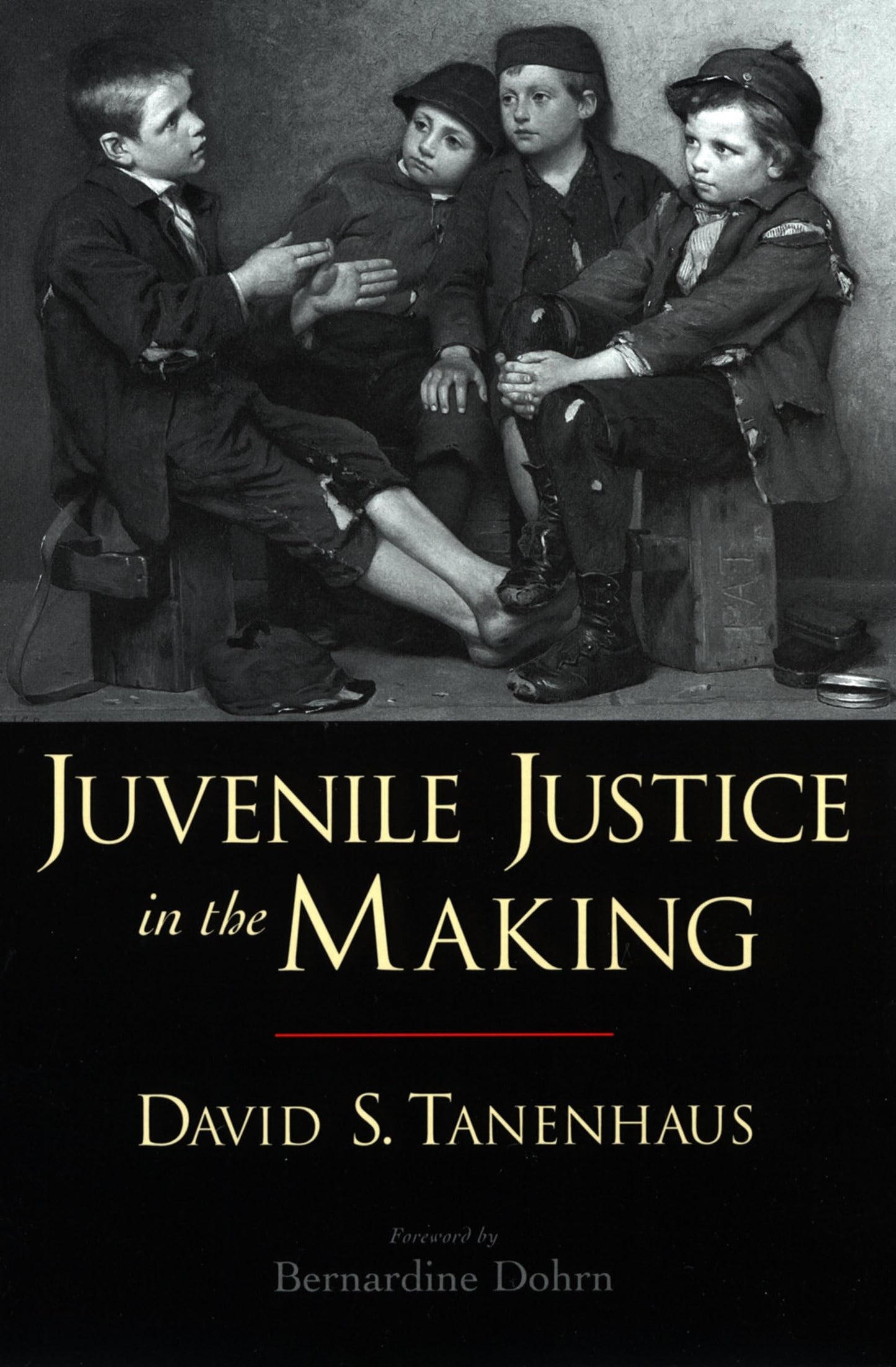Juvenile Justice in the Making (Studies in Crime and Public Policy)