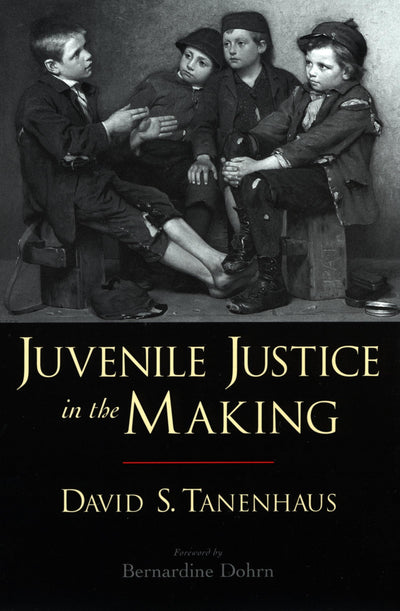Juvenile Justice in the Making (Studies in Crime and Public Policy)