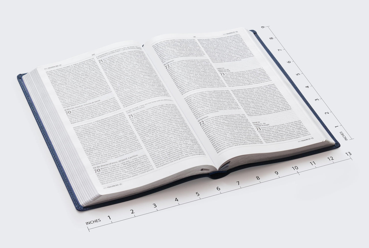 NIV/NVI Bilingual Bible, Revised Text 2022, Leathersoft, Navy / NIV/NVI, Biblia Bilinge, Revisin 2022, Leathersoft, Azul ail (Spanish Edition)