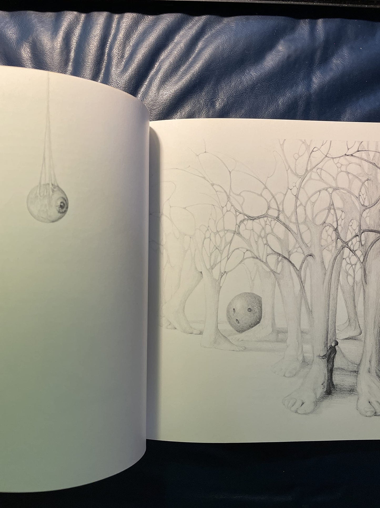Looking ... seeing: Poems and song lyrics