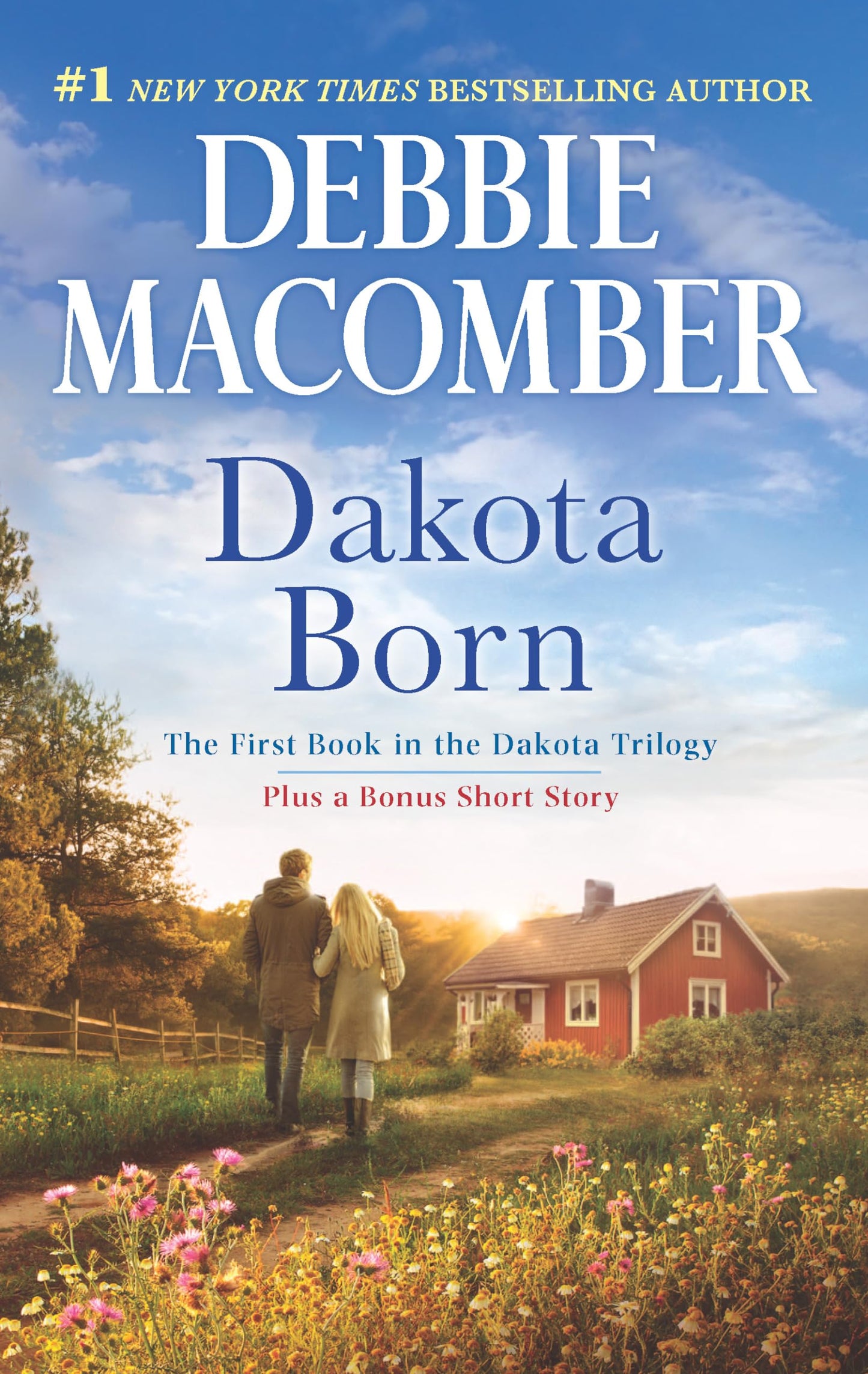 Dakota Born: A Novel - A Wholesome Contemporary Romance About Love and Family Secrets (The Dakota Series)