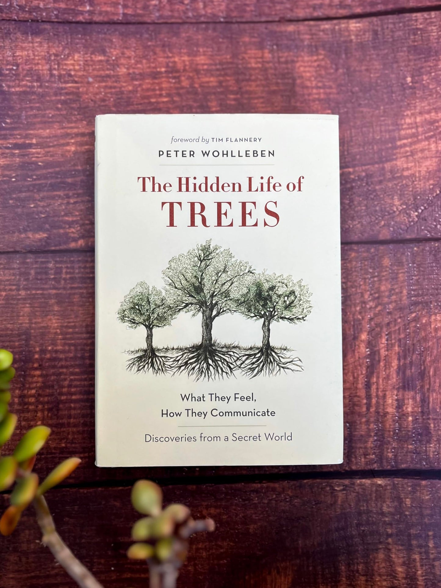 The Hidden Life of Trees: What They Feel, How They Communicate-Discoveries from A Secret World (The Mysteries of Nature, 1)