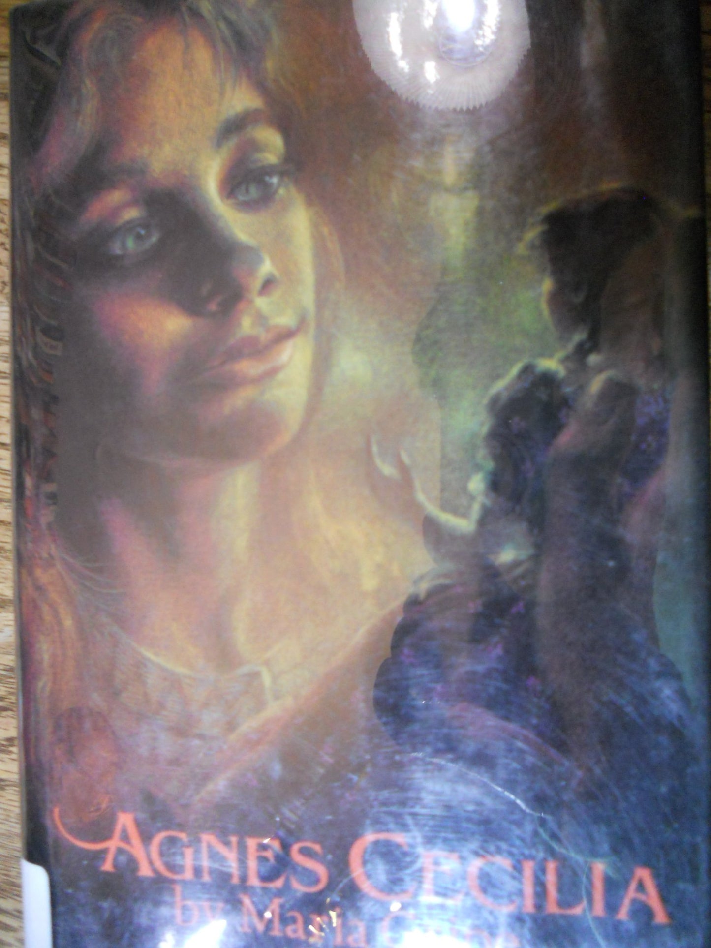 Agnes Cecilia (English and Swedish Edition) by Maria Gripe