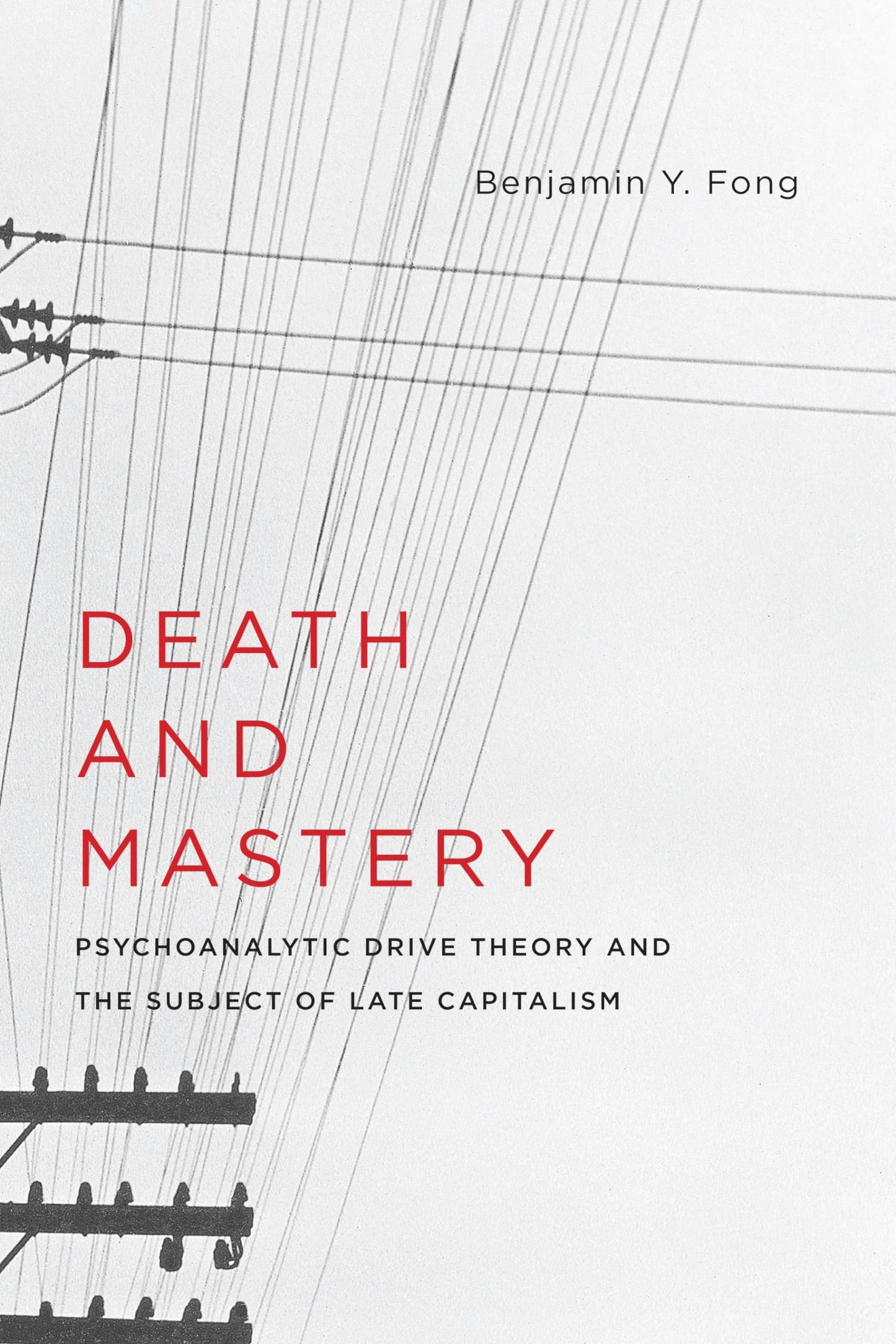 Death and Mastery: Psychoanalytic Drive Theory and the Subject of Late Capitalism (New Directions in Critical Theory, 61)