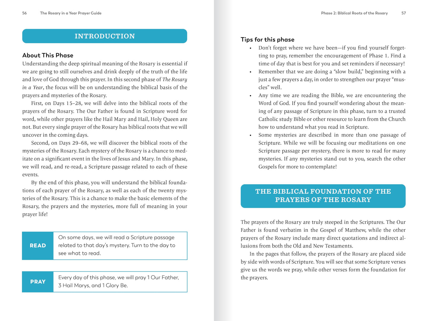 The Rosary in a Year Prayer Guide