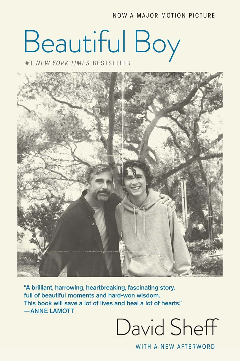 Beautiful Boy (tie-In): A Father's Journey Through His Son's