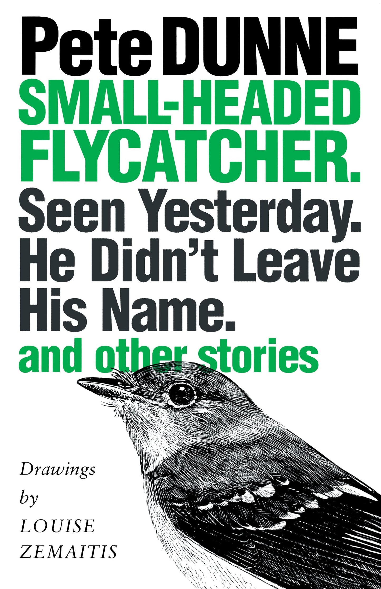 Small-headed Flycatcher. Seen Yesterday. He Didnt Leave His Name.: and other stories