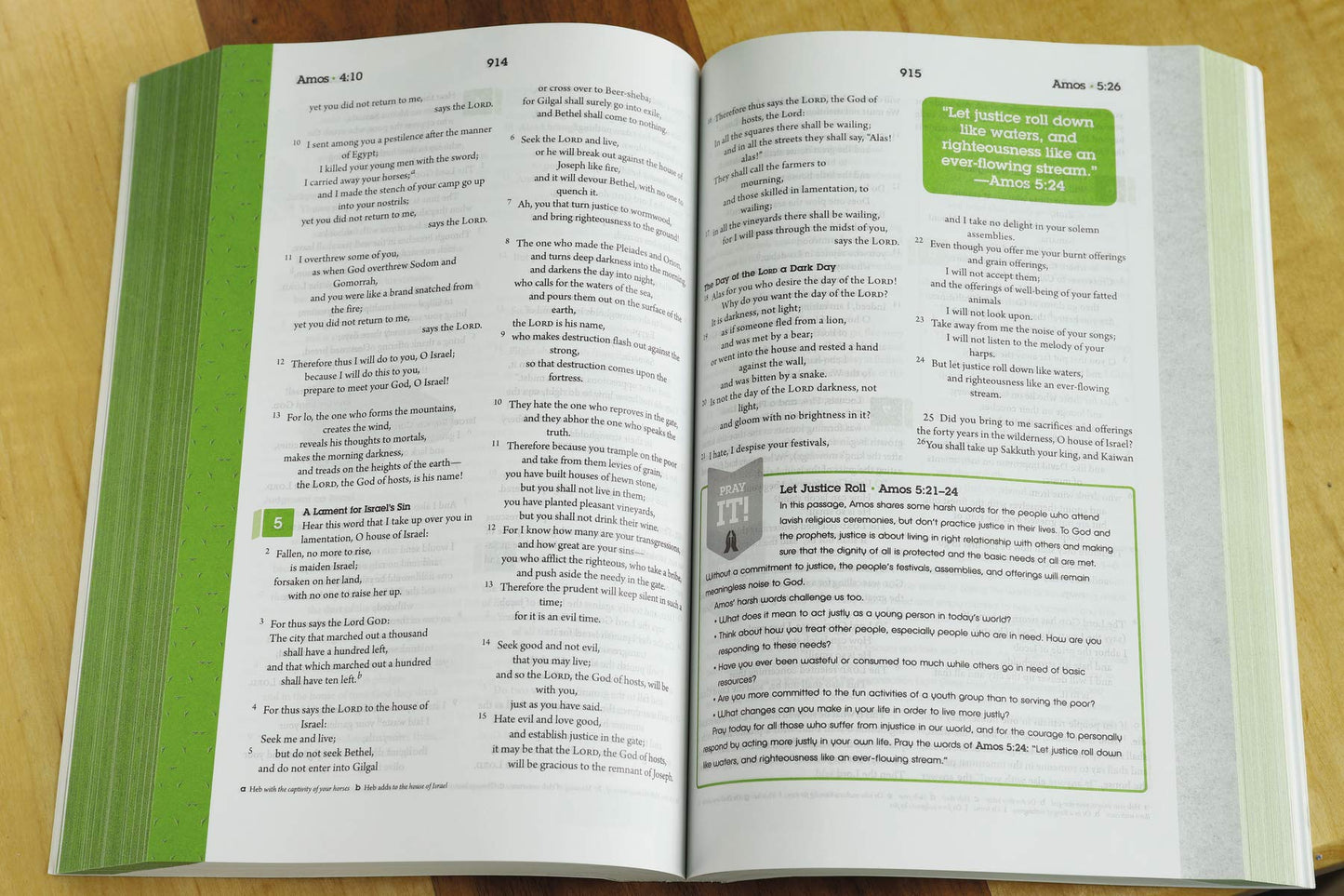 The Guidebook: The NRSV Student Bible