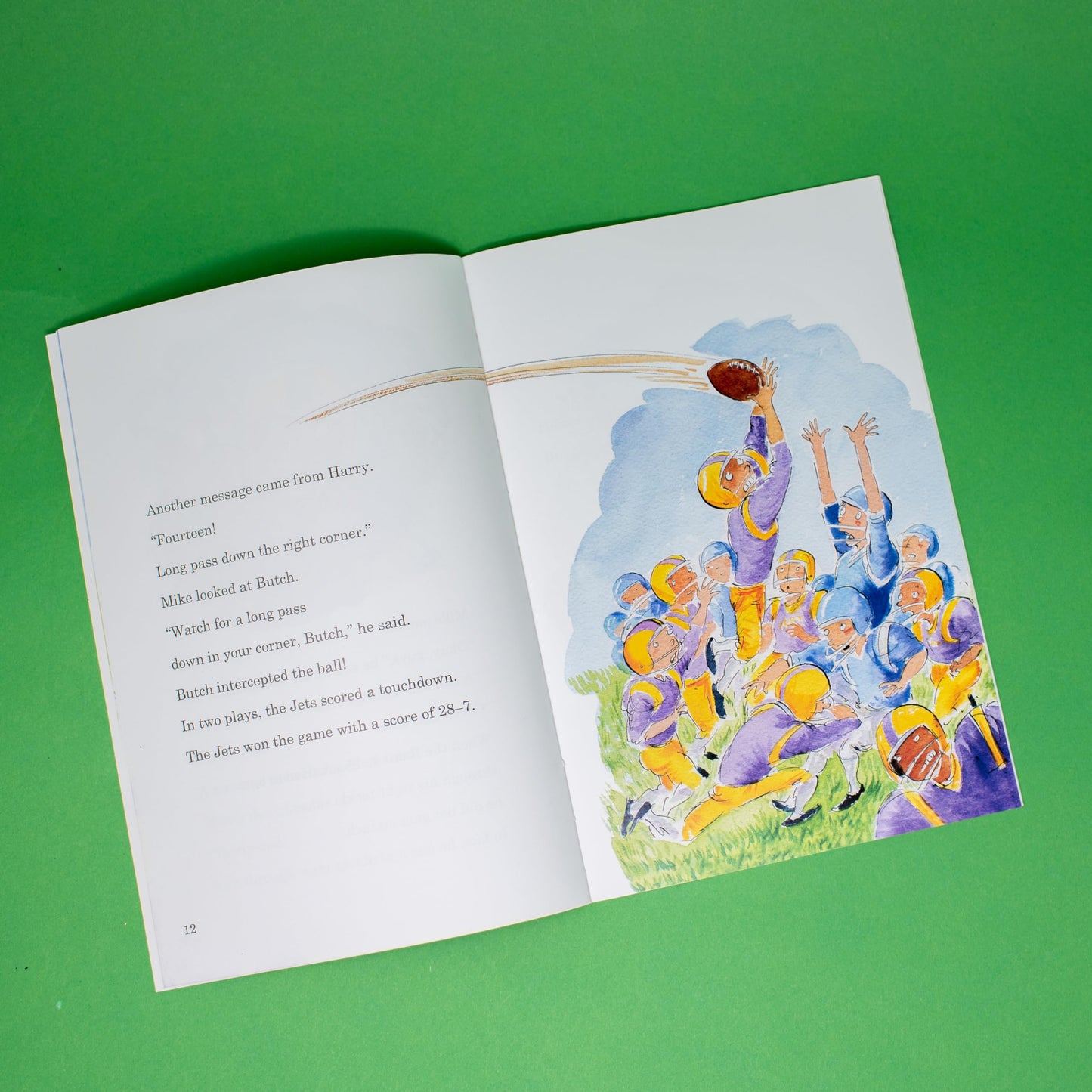 The Dog That Stole Football Plays (Passport to Reading Level 3, 1)