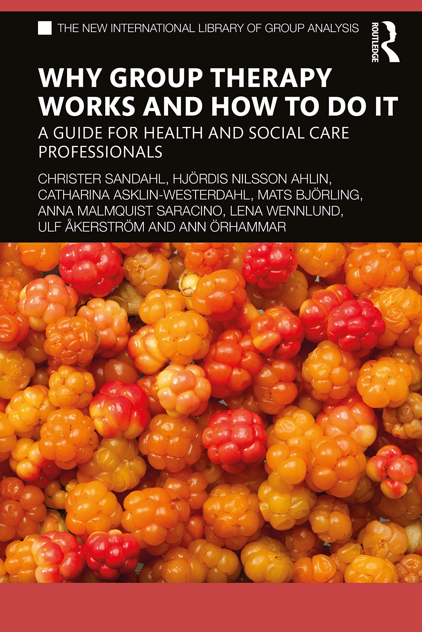 Why Group Therapy Works and How to Do It (The New International Library of Group Analysis)