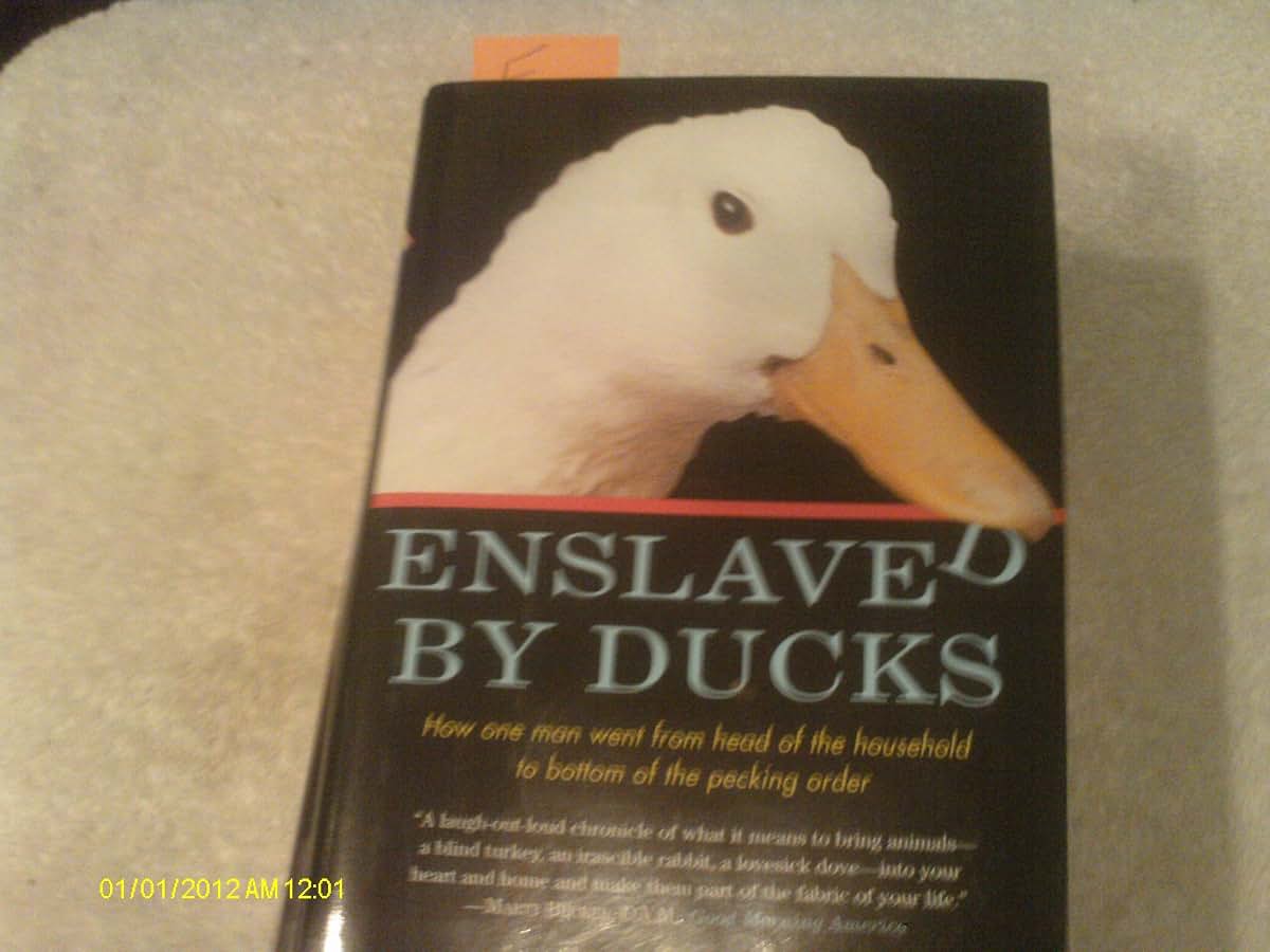 Enslaved by Ducks: How One Man Went from Head of the Household to Bottom of the Pecking Order